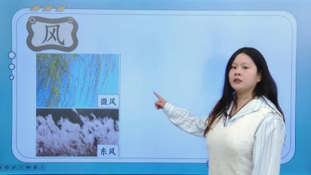 小学语文一年级上册 同步课堂知识点全解析 41集