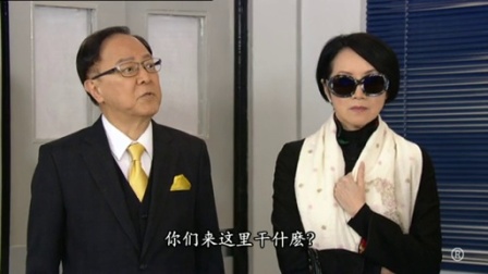 法外风云 30集
