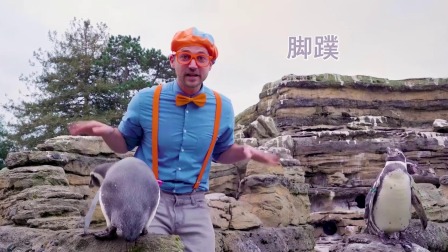 布利比 3集