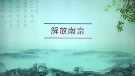 历史八年级上册 人教部编版 56集