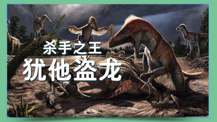 小小探险家：百科大讲堂 11集