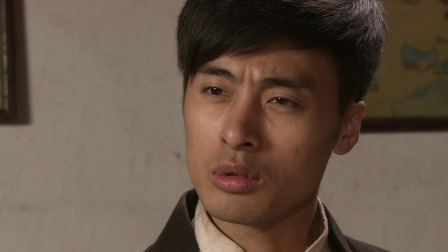 第四片甲骨 29集