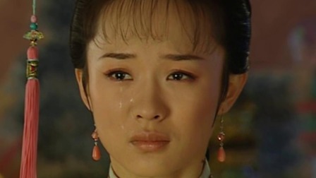 少年天子 27集