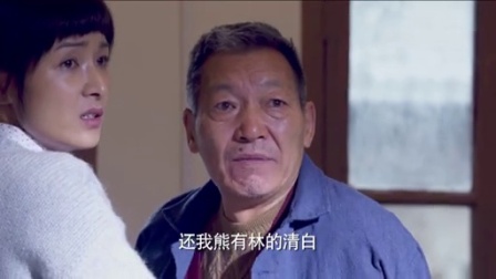 二婶 14集