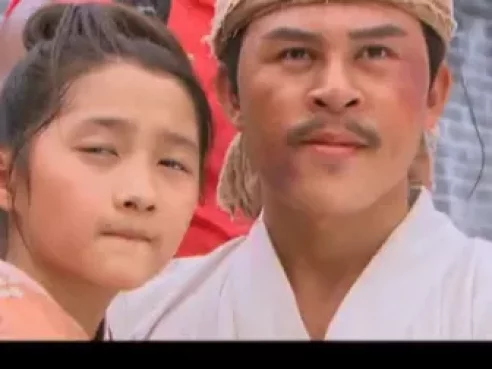 怪侠一枝梅  霍建华版 29集