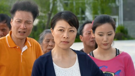 龙门村的故事 1集