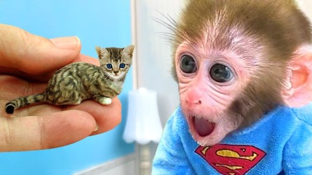 小猴子啵啵 第4季 1集