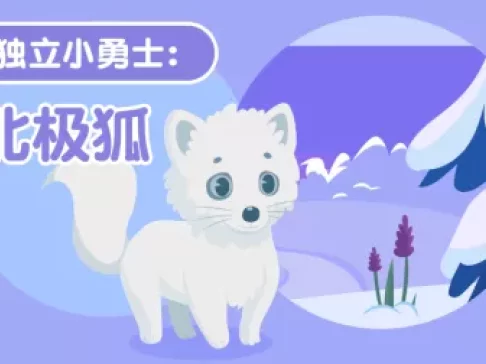 超萌动物园 新奇动物大派对 8集