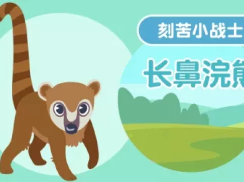 超萌动物园 新奇动物大派对 4集