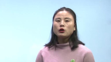 初中化学 九年级下册化学初三人教版2021 27集