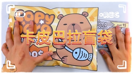 mini折纸百变公主 1集
