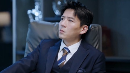 治愈系恋人 DVD版 24集