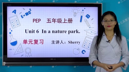 五年级人教版PEP英语上册单元复习 6集