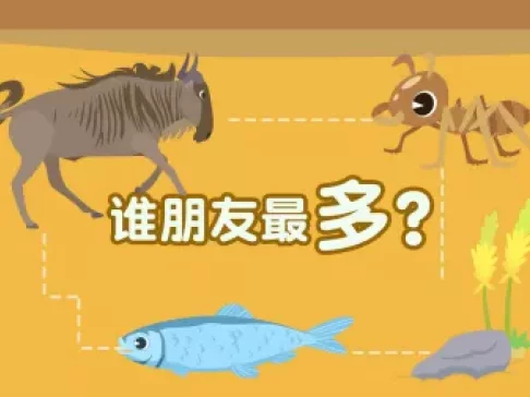 超萌动物园 新奇动物大派对 14集