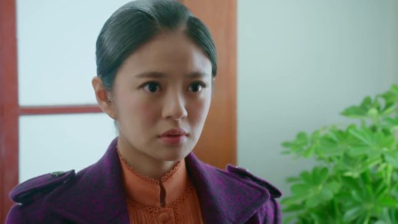 昙花梦 34集