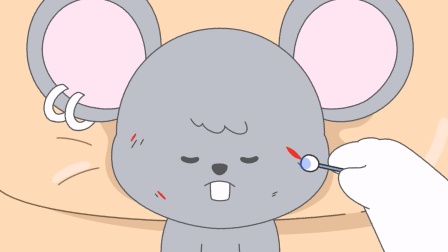 小狗医生的宠物诊疗室 12集