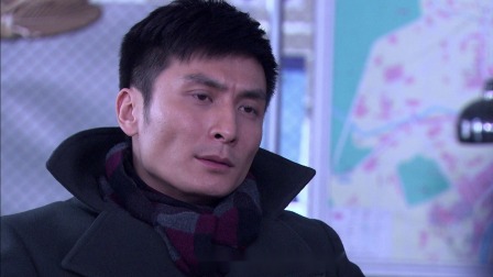 法网追击 2集