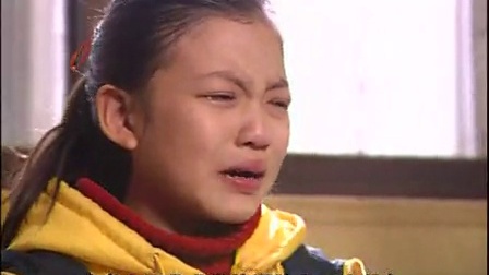 乡里乡亲住高楼 12集