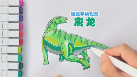 丁丁鸡画恐龙 64集