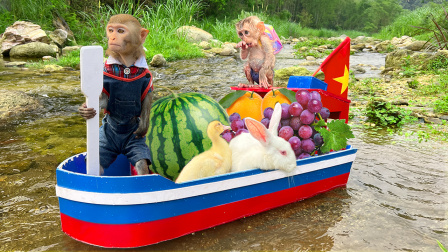 小猴子多多 40集