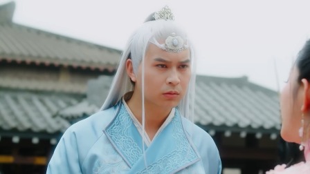 丑女医妃2 11集