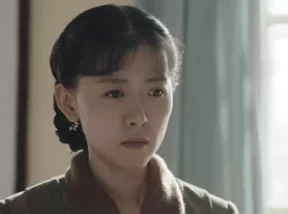 激情的岁月 32集