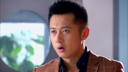 亲情暖我心 31集