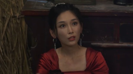 灵魂渡 11集