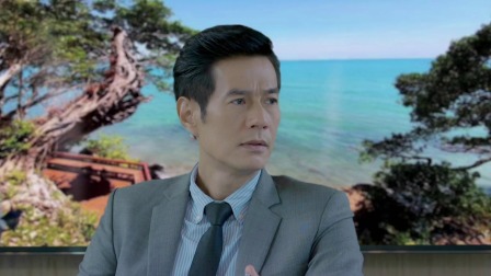 情链 15集