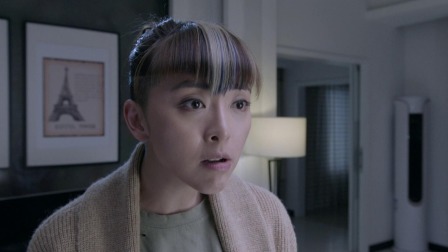 极品一家人 33集