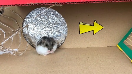 仓鼠秘密任务行 14集