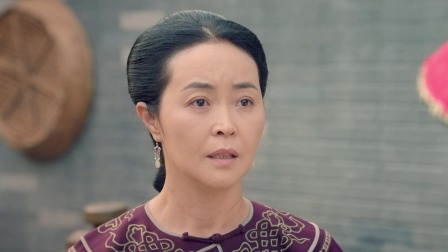 丁宝桢 4集