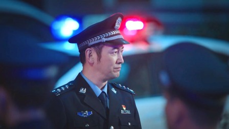 巡回检察组 DVD版 11集