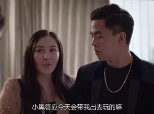 反黑 15集