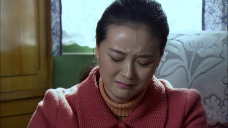 永远一家人 15集