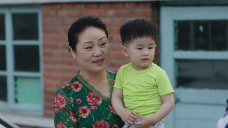 乡村爱情17 33集