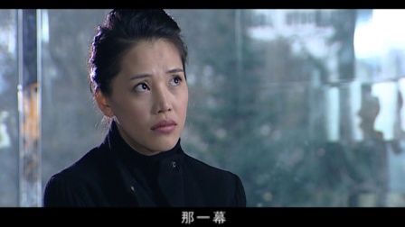 守望爱情 24集