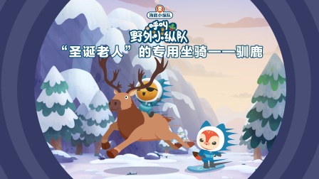 海底小纵队呼叫野外小纵队 19集