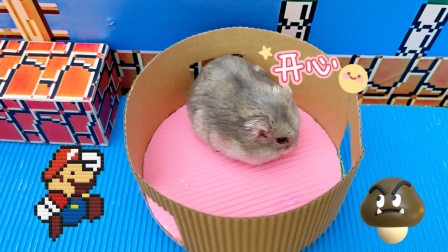 仓鼠马里奥大冒险 47集
