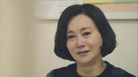 刑侦日记 24集