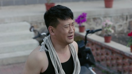 乡村爱情17 17集