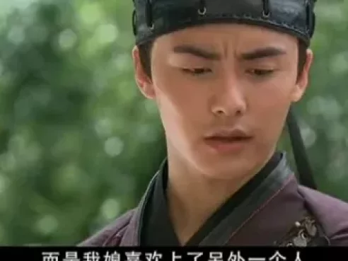 怪侠一枝梅  霍建华版 20集