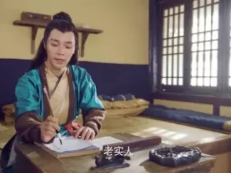 极品家丁 弹幕版 31集