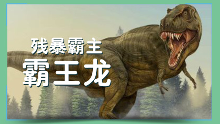 小小探险家：百科大讲堂 8集