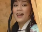 射雕英雄传之铁血丹心 10集