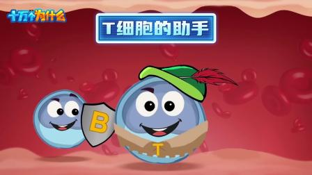 超级镜头：十万个为什么（第四季） 7集