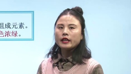 初中化学 九年级下册化学初三人教版2021 28集