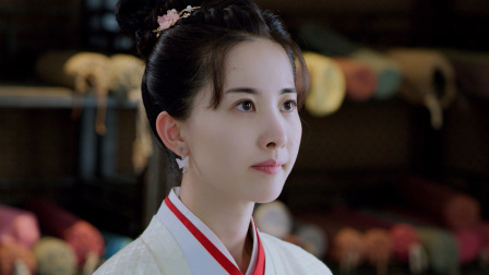 君心权臣 10集