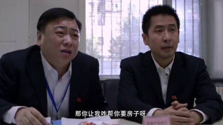 信访局长 17集