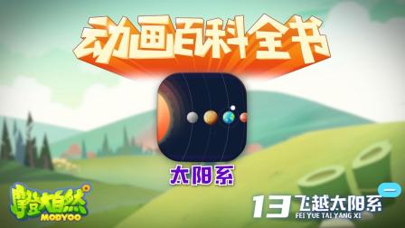 大自然里面的小百科 1集
